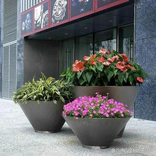 和居住環(huán)境的要求不斷提高,植物已經(jīng)成為了室內(nèi)外裝飾的重要組成部分