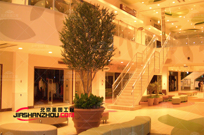 北京圣園關(guān)于春季大掃除室內(nèi)外仿真樹景觀裝飾步驟經(jīng)驗