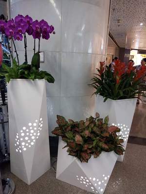 個性花卉產(chǎn)品租賃_個性花卉產(chǎn)品批發(fā)零售_高端組景組盆花卉專業(yè)租貨_長沙花卉租擺_高端花卉專業(yè)設(shè)計租賃