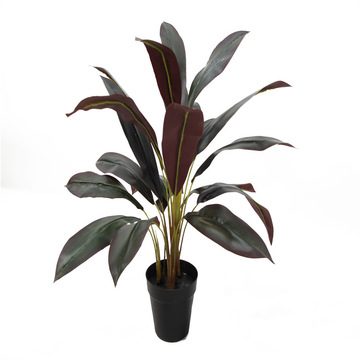 仿真綠植朱蕉仿生假植物裝飾巴西鐵辦公裝飾室內(nèi)外擺件大型產(chǎn)品