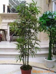 仿真竹子 仿真植物 室內(nèi)裝飾